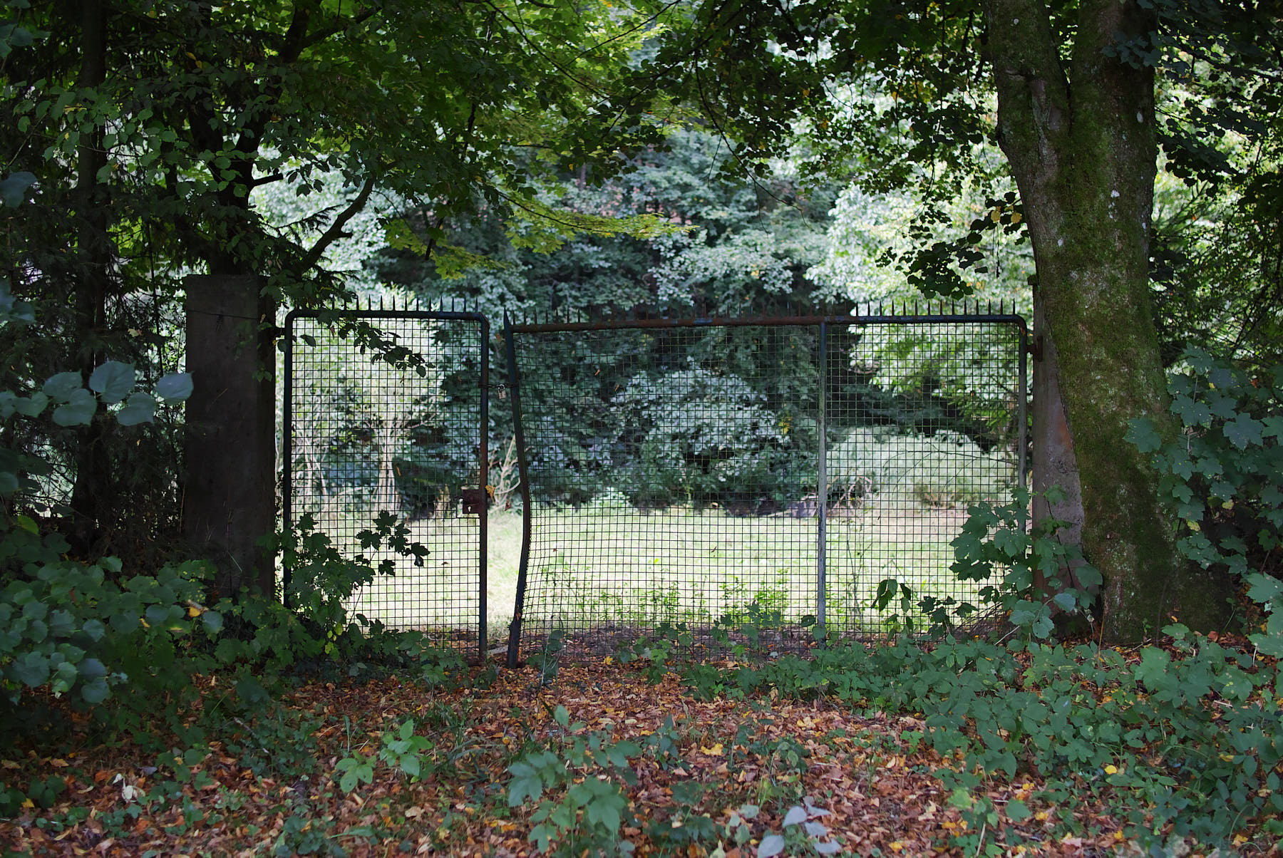 SDQ_0230
