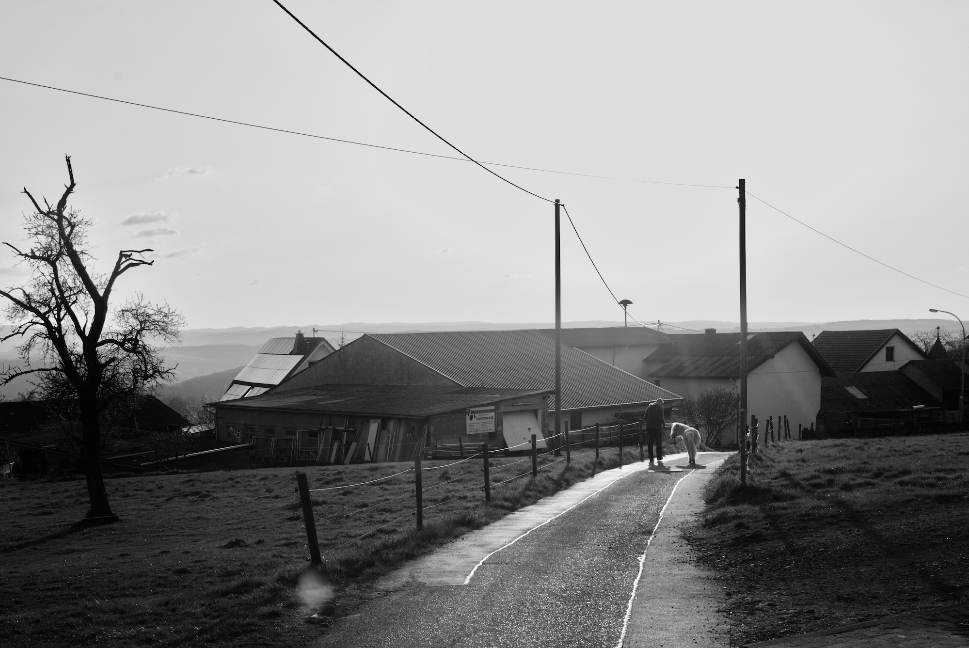 A man and a pony walking down a country road.