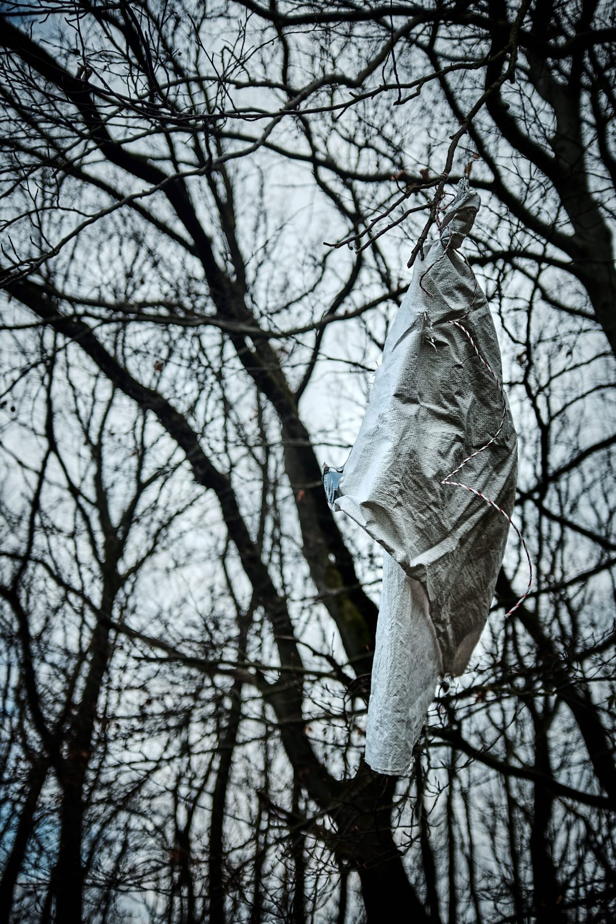 0419