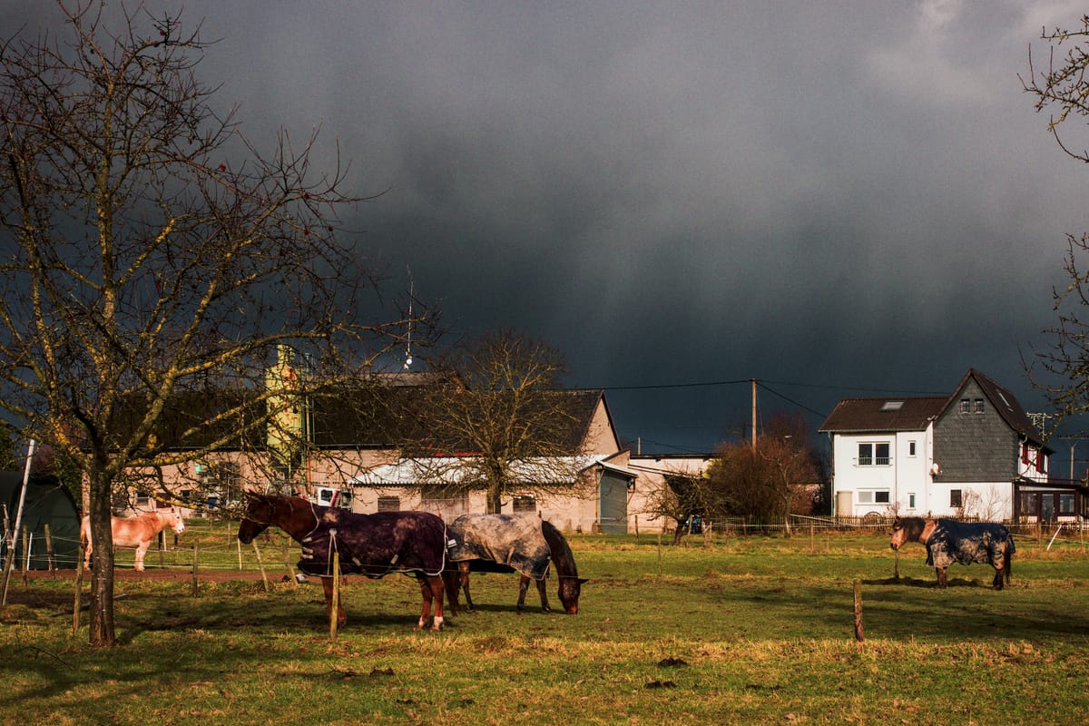 a rural scene with stormy sky and sunlight, with four horses, a cottage and a barn building in the background.