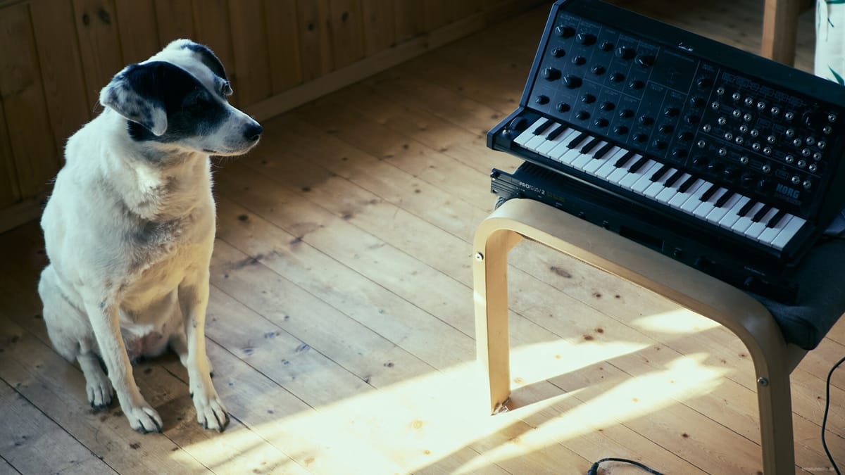 "His Master's Oscillators"