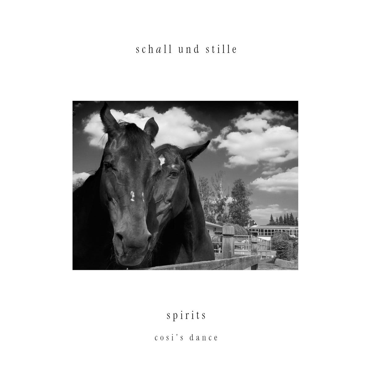 Cover image for "Spirits": A black and white portrait of two elderly horses looking across a wooden fence.
