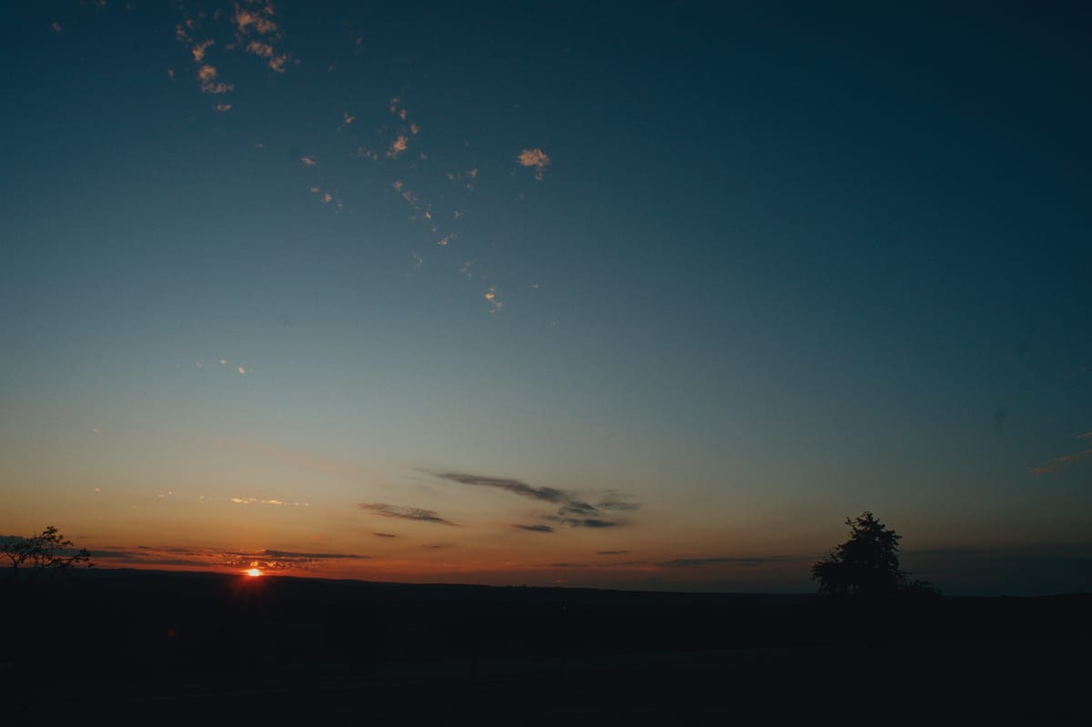 the silhouette of a tree to the right and the setting sun to the left. really small clouds are scattered in a mostly dark gre