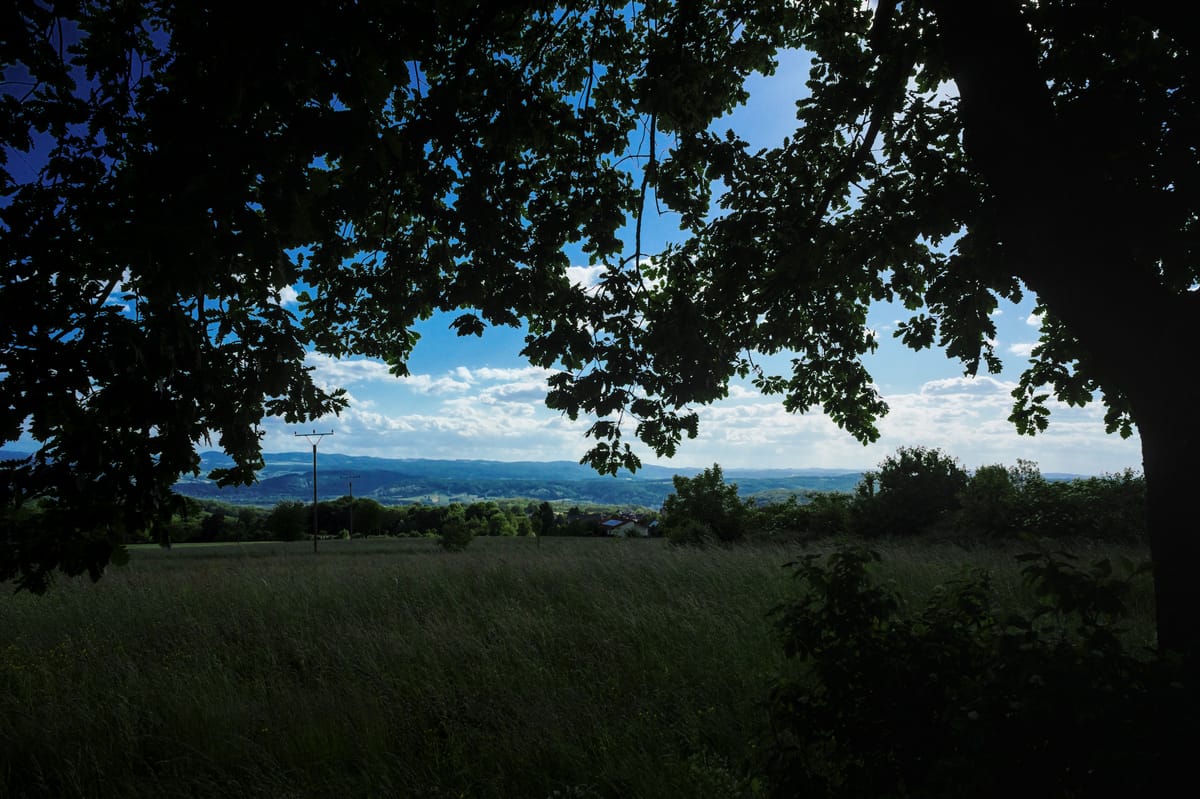 A meadow and a distant range of hills behind the silhouette of a tree in the foreground.