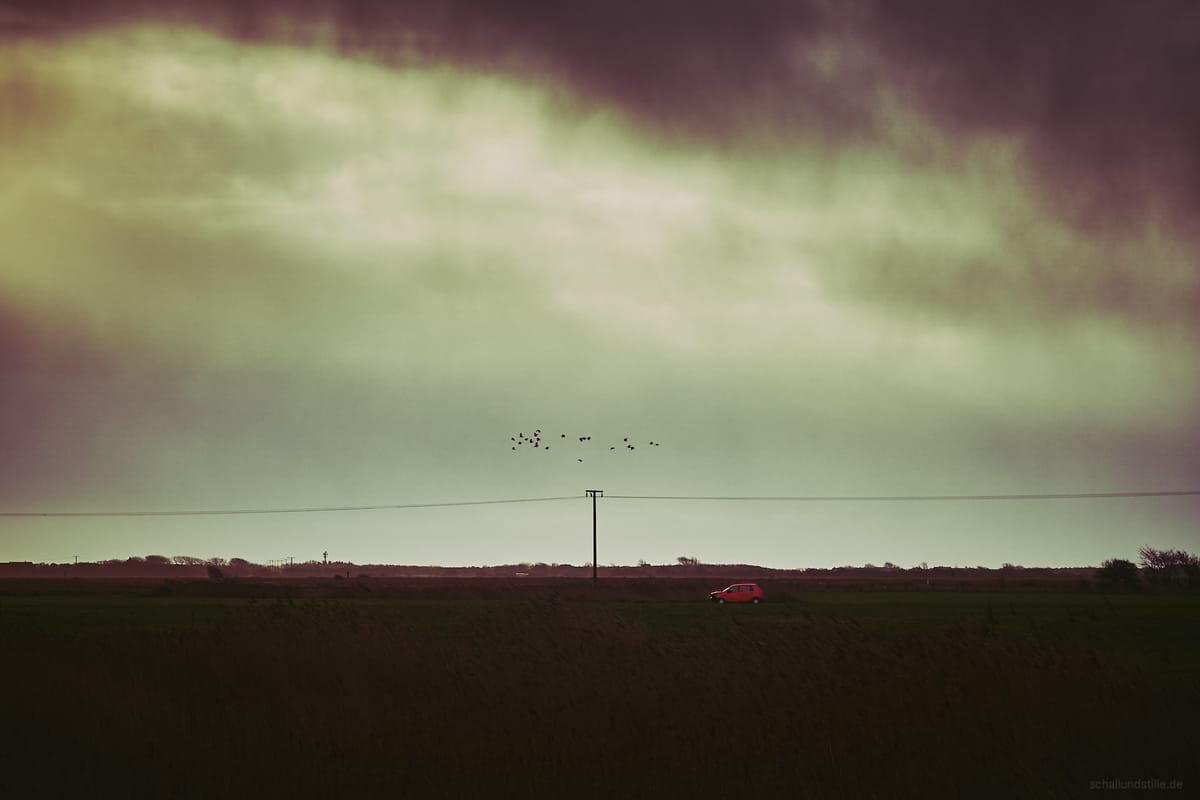 a red car parked on a meadow between a stormy sky and several birds flying by