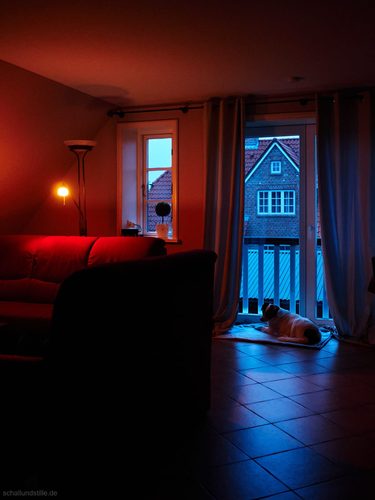 a dog resting at a window at the break of dawn. a single lightbulb is illuminating the room. the dawn casts a blue light into