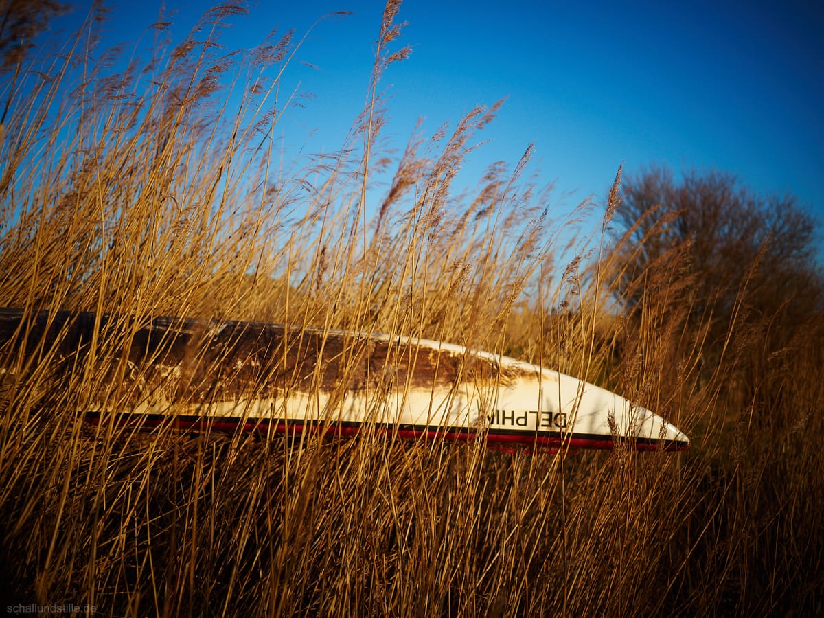 an upside down kajak resting behind some reeds in the evening sun. the kajak bears the name "Delphin"