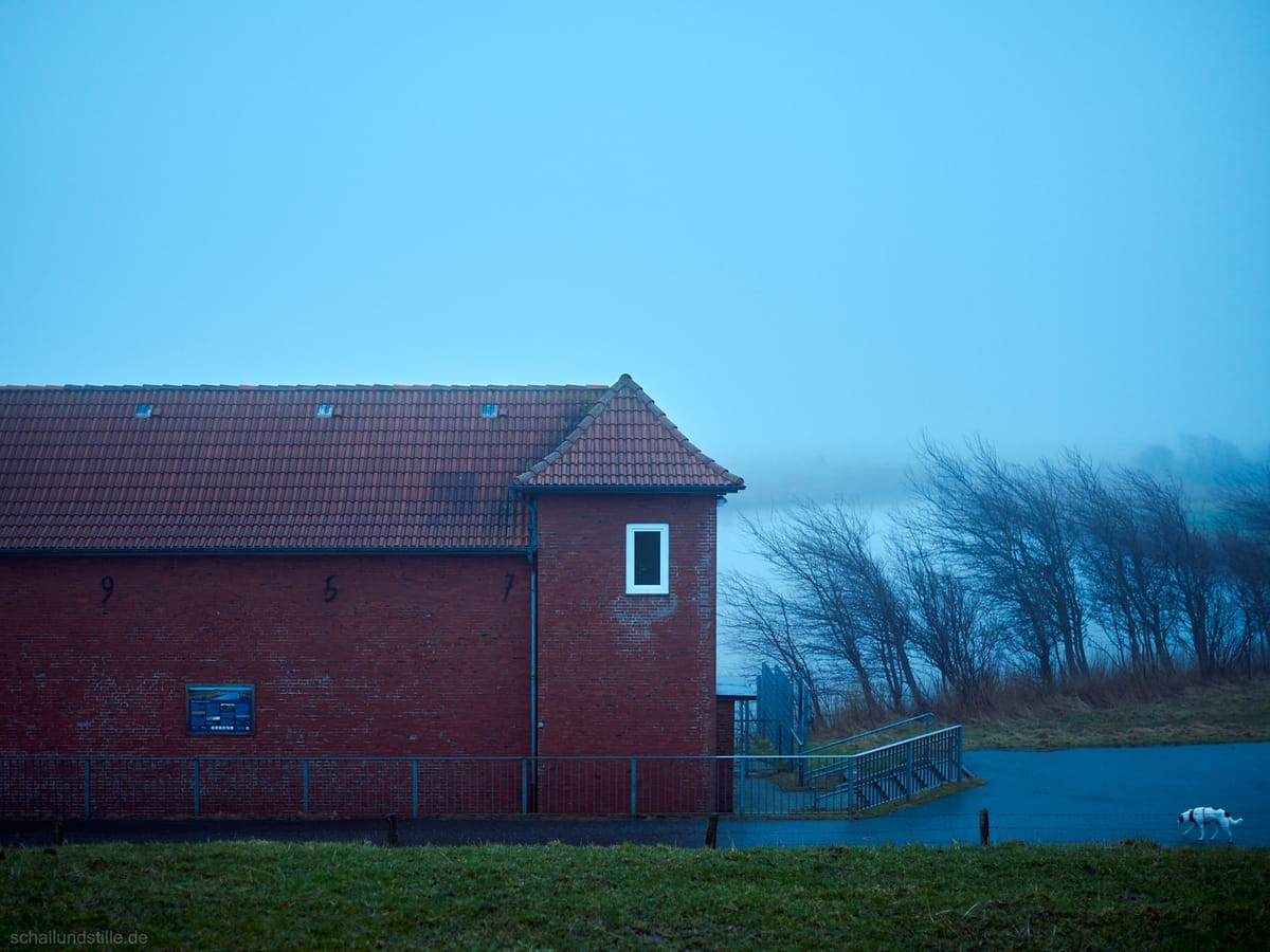 a black and white dog (in the right of the picture) and a part of the northern Föhr pumping station (oin the left part of the
