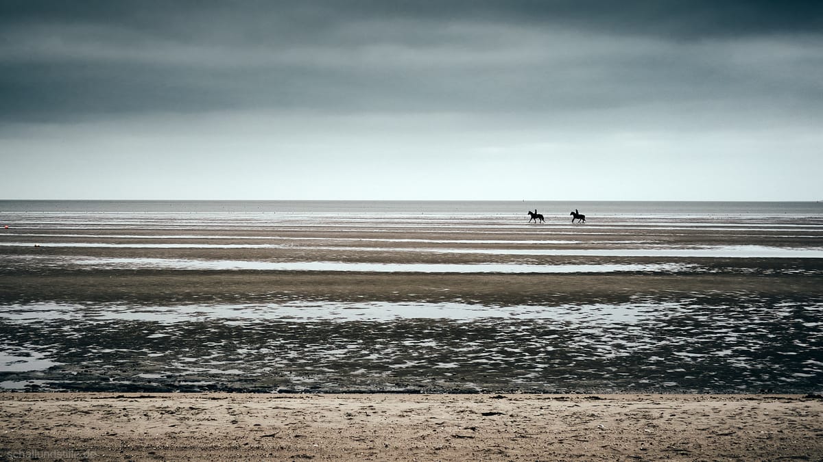 two riders near the horizon on a seashore