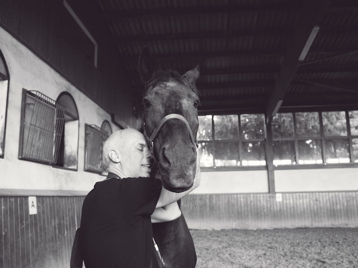 Lieber Lucky,