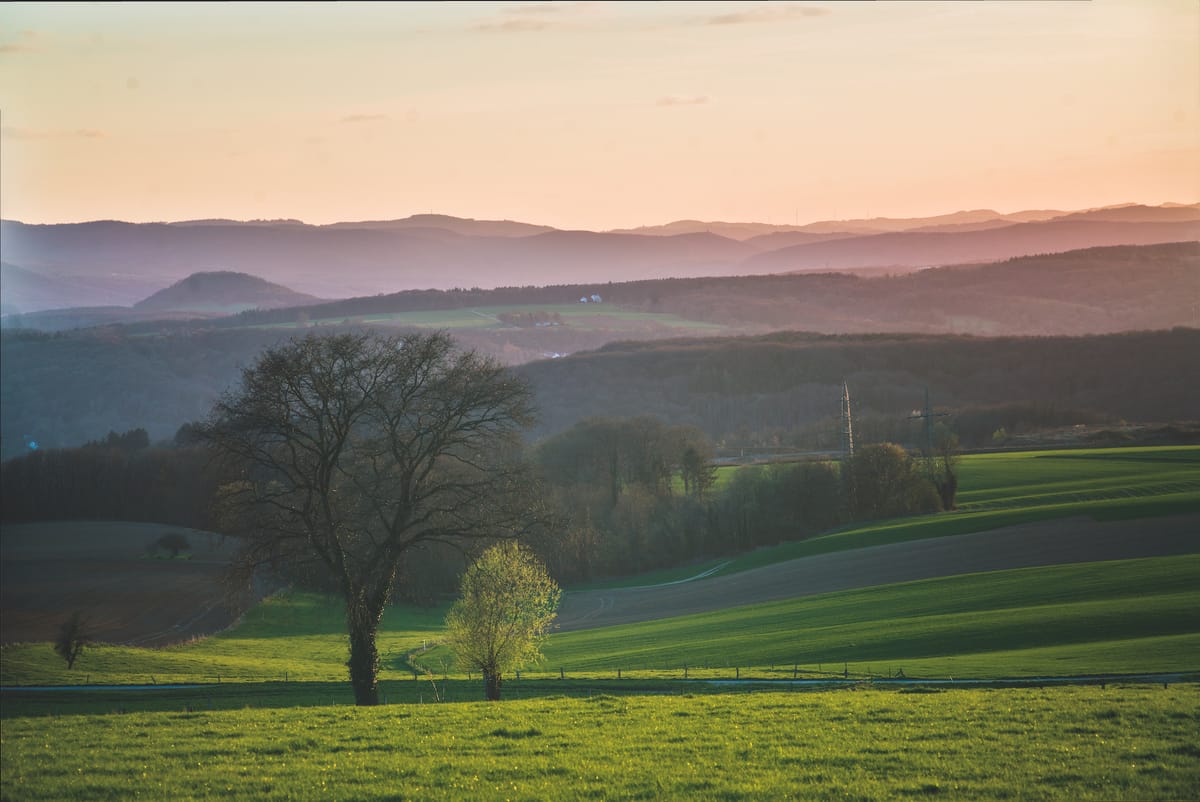 A landscape picture with two trees in the foreground and a range of hills in the background.