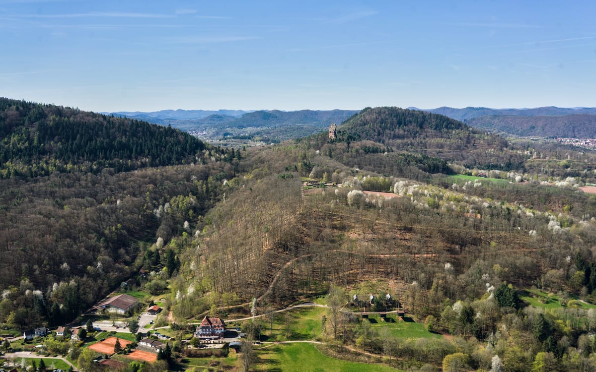 a landscape photo with a mountain range and some blooming trees in the foreground