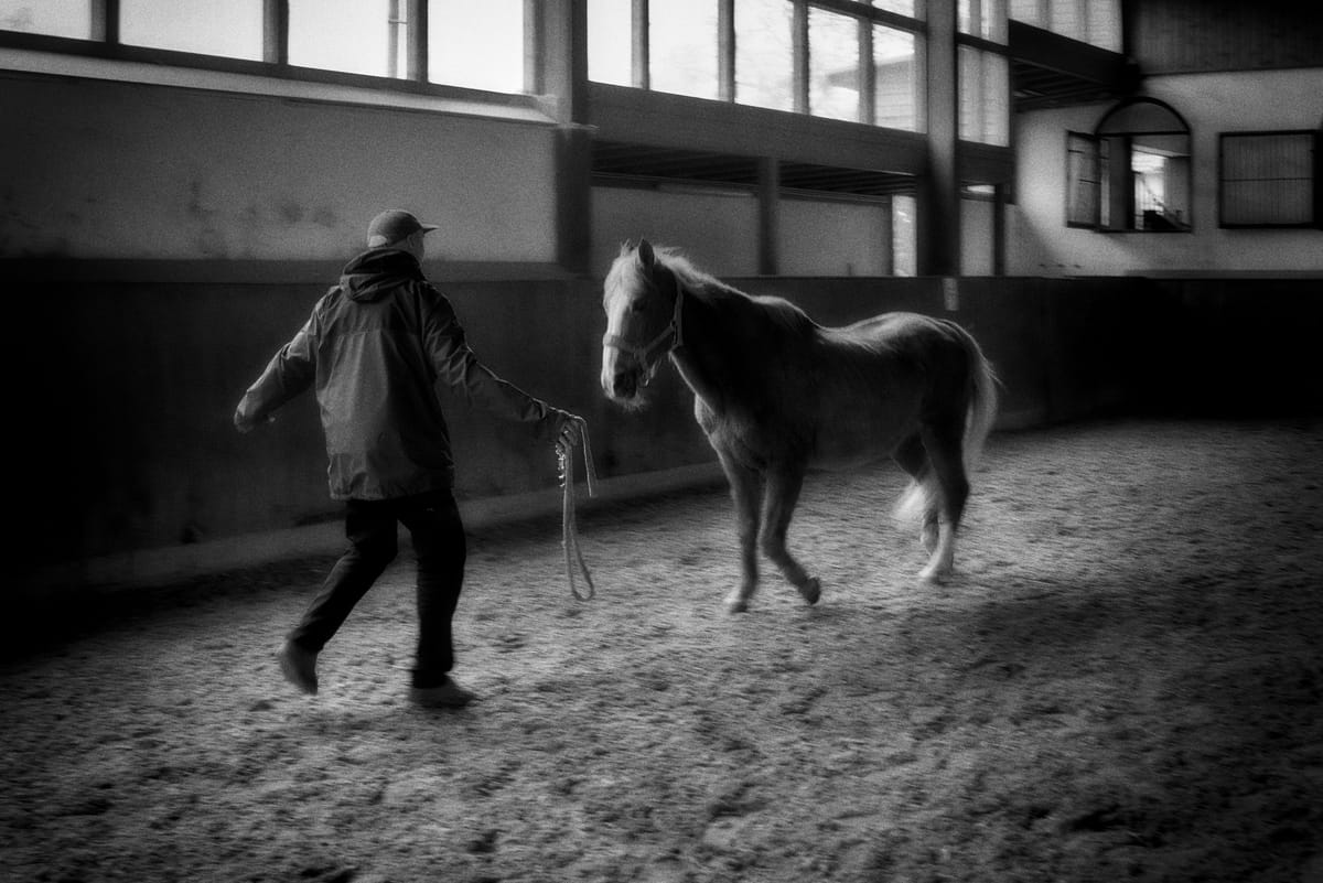 Black and white picture of a man walking backwards in a riding hall while a horse is trotting towards him.