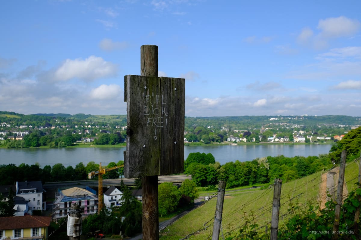 Vier Tage in Zahlen