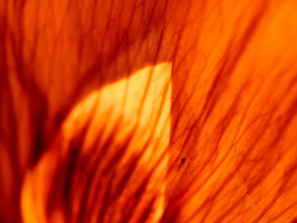 0610