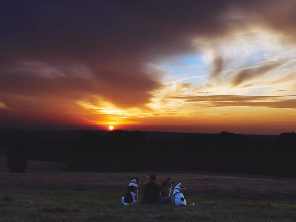 [ 24 - Instagram-Influänzer-Lifestyle-Bildchen ]