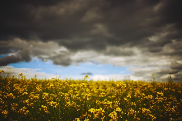 0523