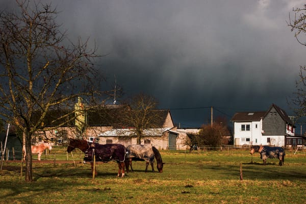 a rural scene with stormy sky and sunlight, with four horses, a cottage and a barn building in the background.