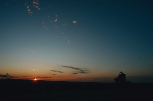 the silhouette of a tree to the right and the setting sun to the left. really small clouds are scattered in a mostly dark gre