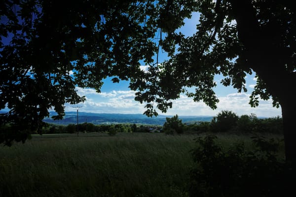 A meadow and a distant range of hills behind the silhouette of a tree in the foreground.