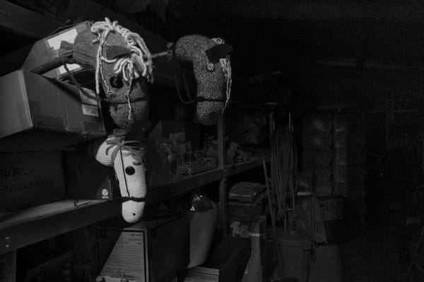 Three hobby horses stacked away in a shelf in a dark storage room