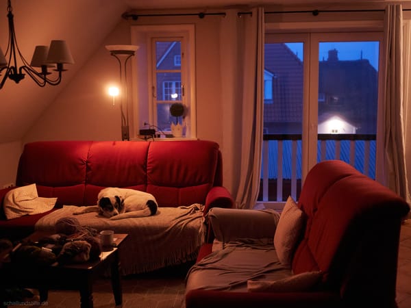 a dog resting on a red sofa