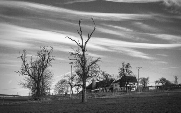 black and white picture of a rural landscape with a cottage in the background