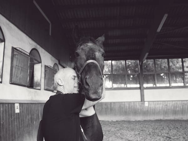 Lieber Lucky,