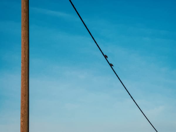 A telegraph pole and wire with two birds sitting on it.