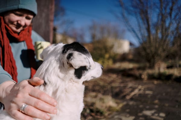 A woman with a shawl gently stroking a dog sitting next to her