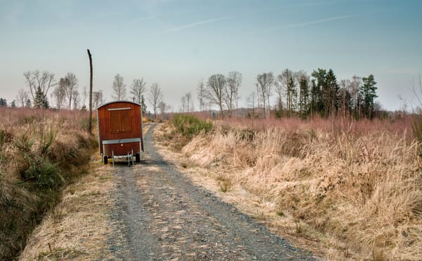 A construction trailer stands at the edge of a path that leads through a decimated forest.
