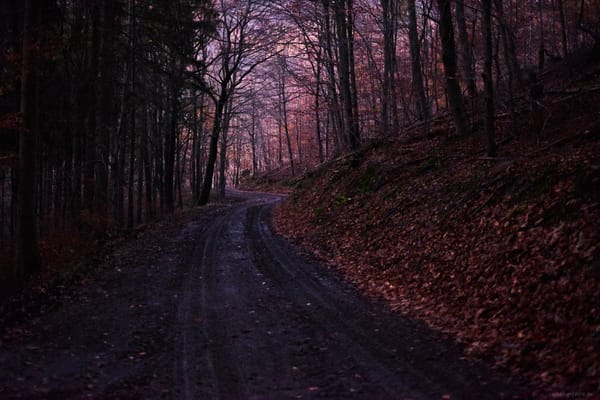 Stille