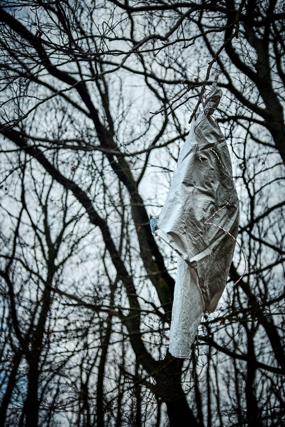 0419
