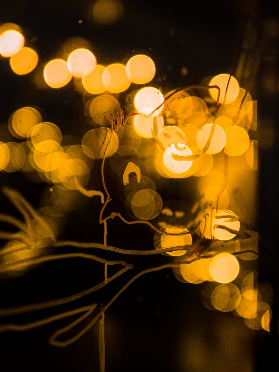 113/365